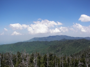 View from Clingman's Dome, Great Smoky Mtn National Park